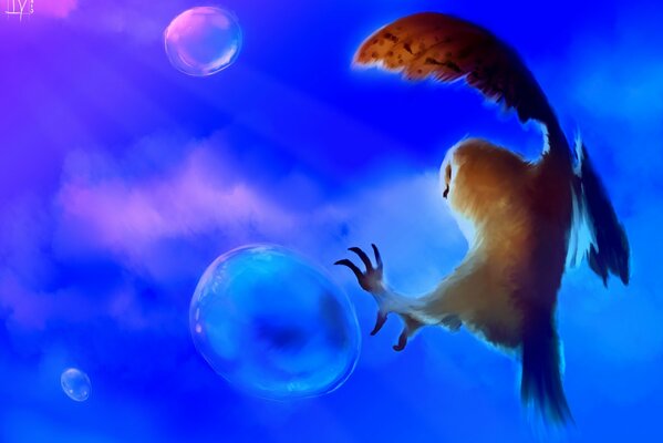 An owl bursts a soap bubble with its claws