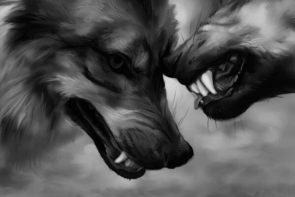 Two wolves bared their fanged mouths at each other