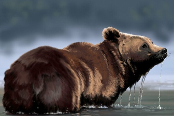 Dibujo de un oso Pardo en un río