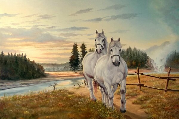 White horses with a beautiful mane by the river