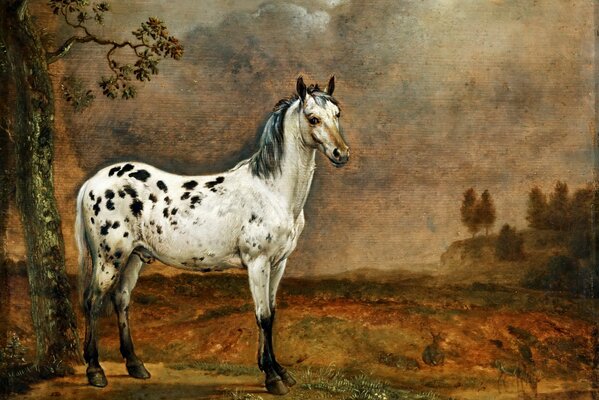 Pintura al óleo del caballo manchado