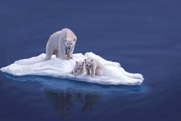 Oso con osos en un témpano de hielo