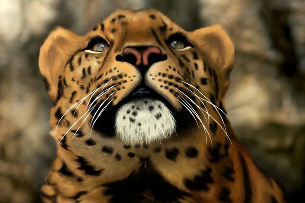 Leopardo. Arte arte. Gato depredador