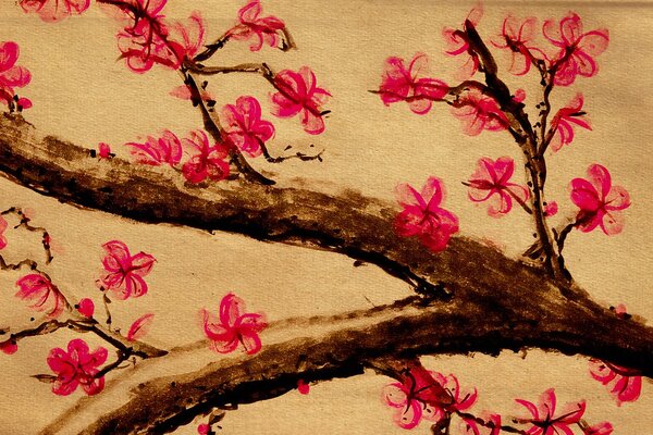 Sakura fleuri peint à l aquarelle