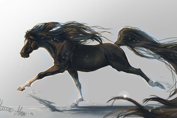 Animal horse running with mane and tail