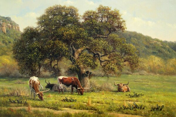 Cows graze near the tree