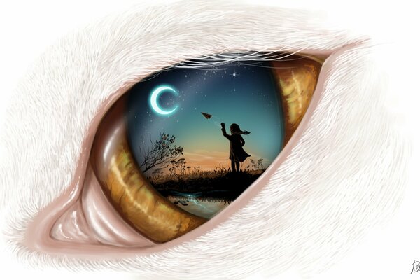 Art Cat s eye night moon sky girl