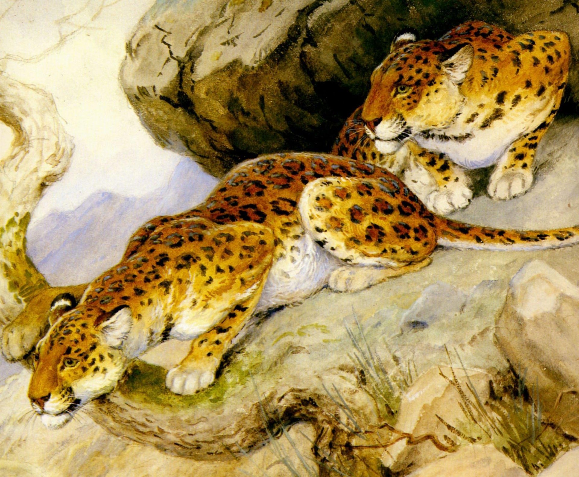 georges-frédéric rotig arte pittura leopardi predatori