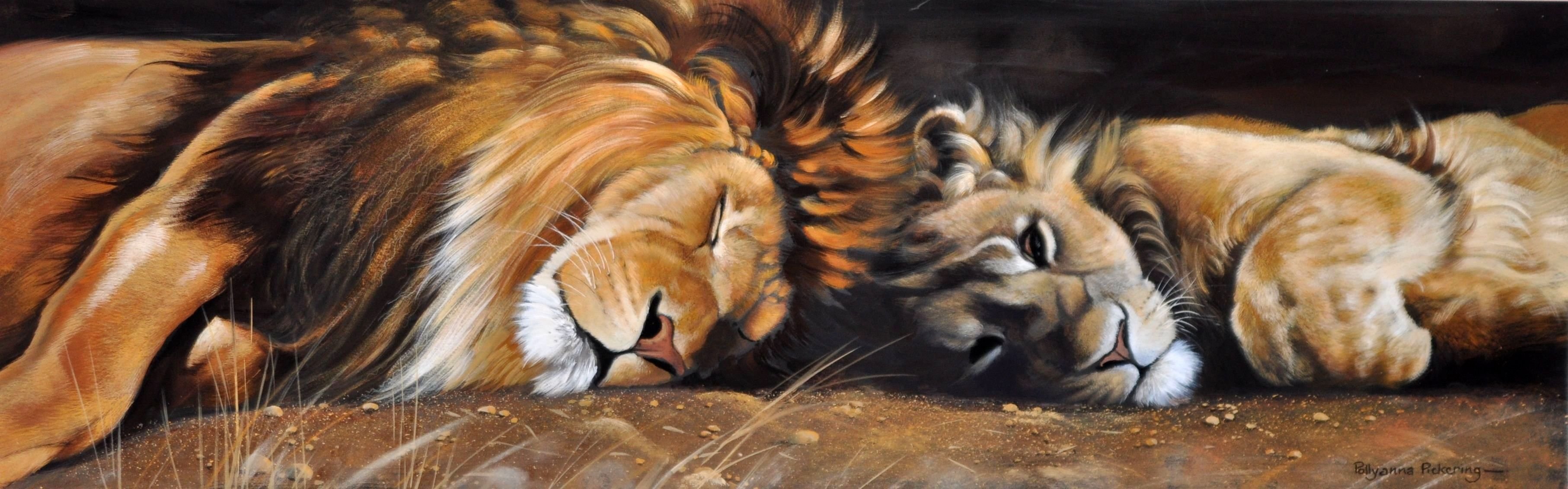 pintura arte pollyanna pickering león leona melena animales gatos salvaje depredadores sueño