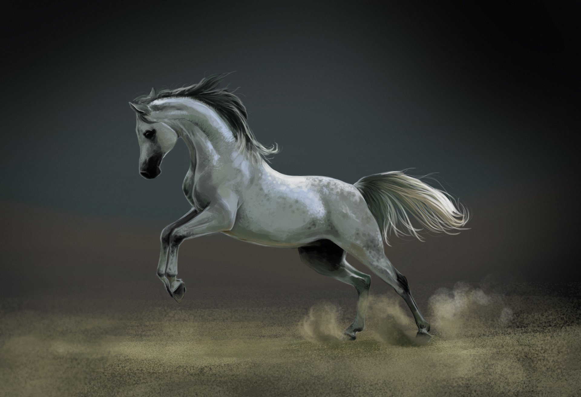 art horse horse dust white