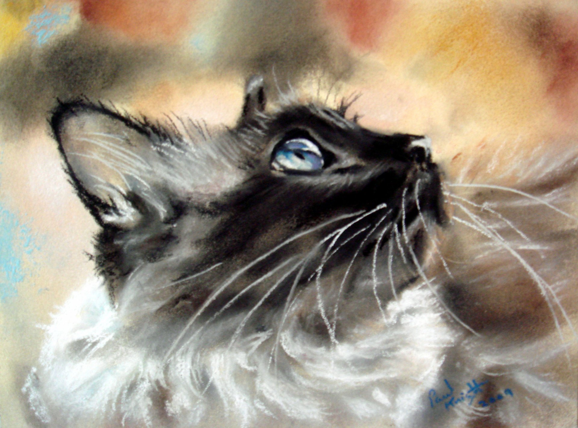 pittura gatto siamese animale vista profilo orecchie baffi muso sfondo