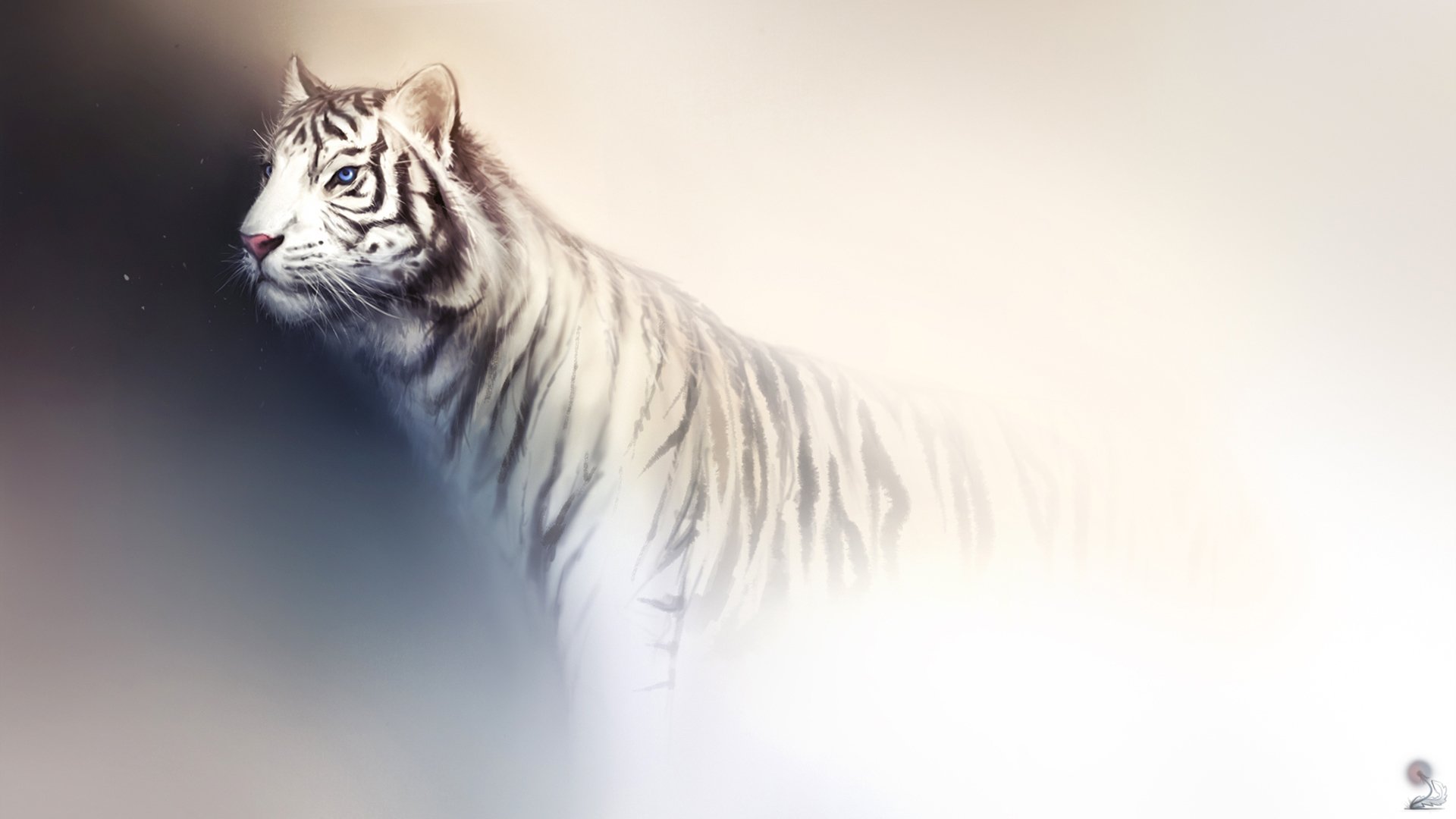 art tiger white light background predator wild cat