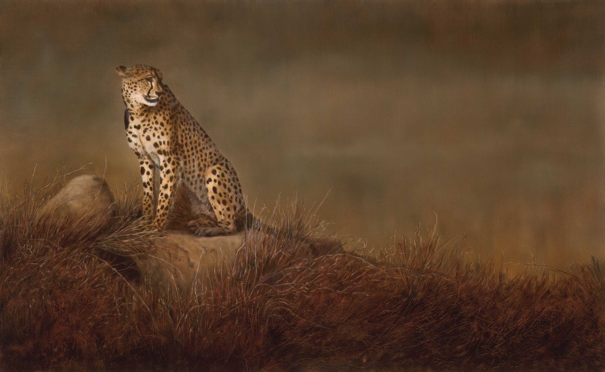 malerei kunst linda schröter gepard katze wild savanne steine gras hintergrund