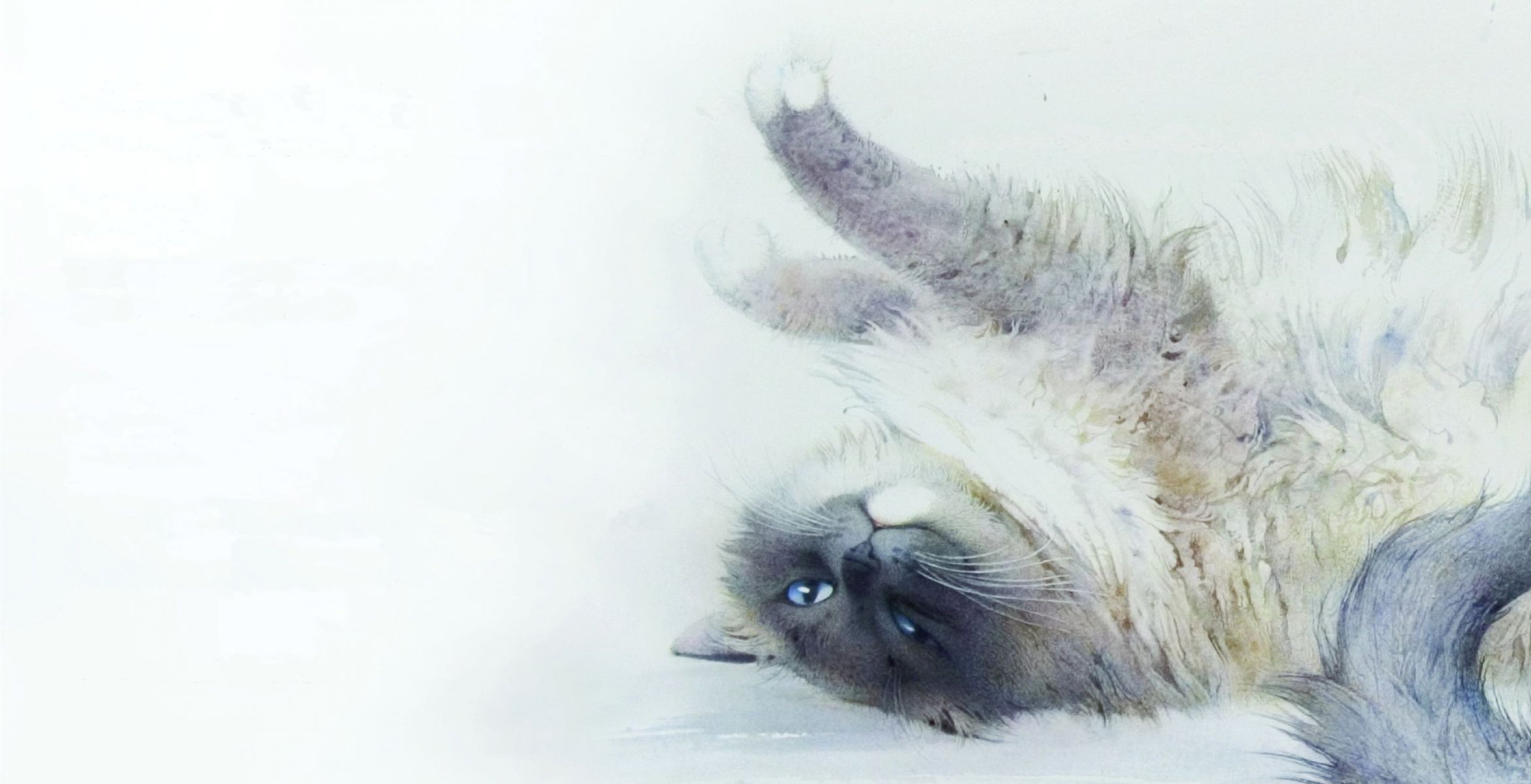 malerei aquarell kunst katze katze schlürfen liegen