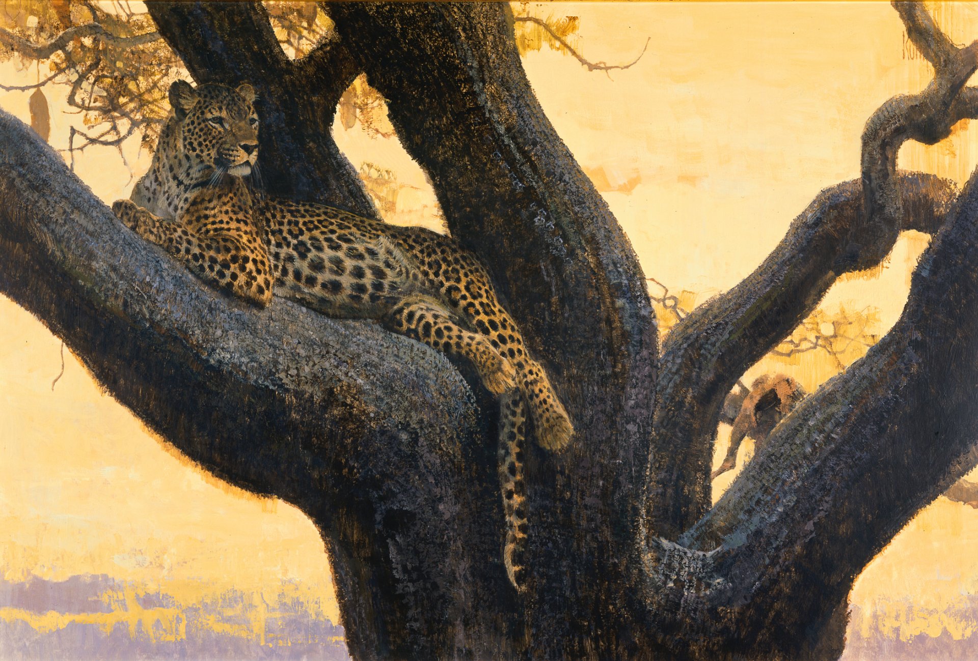 pittura arte bob coon leopardo gatto selvaggio macchie predatore albero ramo ricreazione