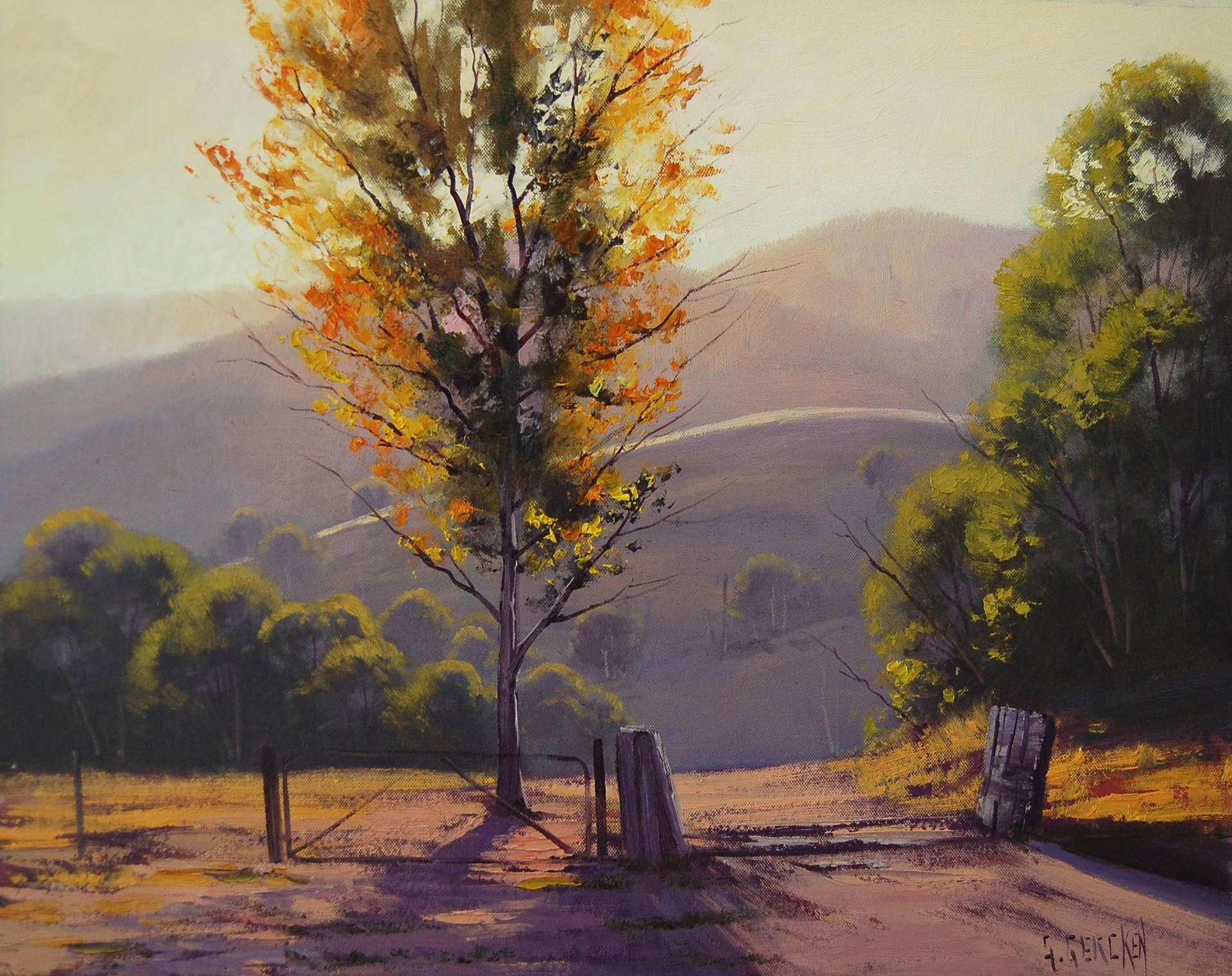 art picture artsaus afternoon kanimbla valley