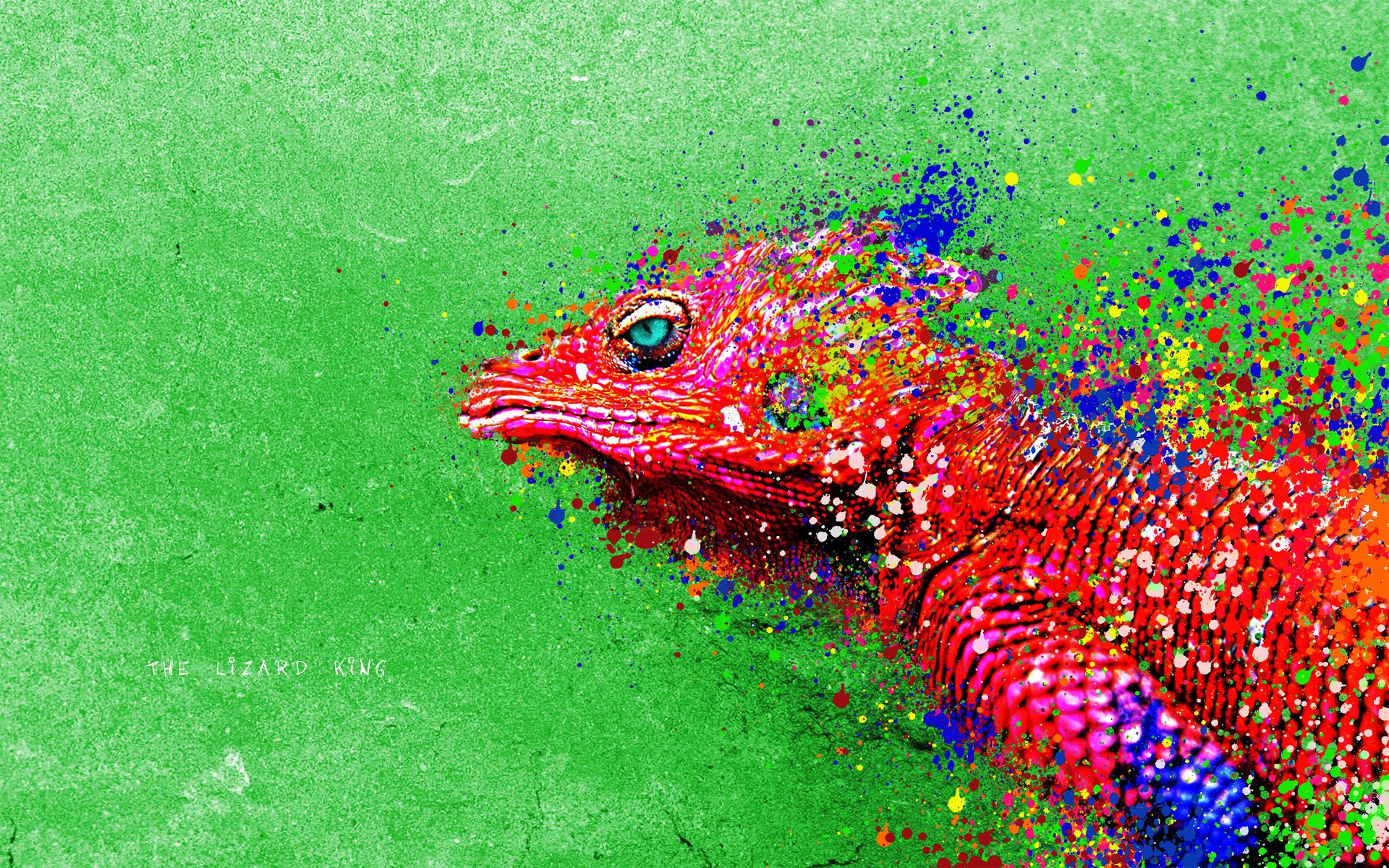 rettile lucertola iguana pittura colori luminosità