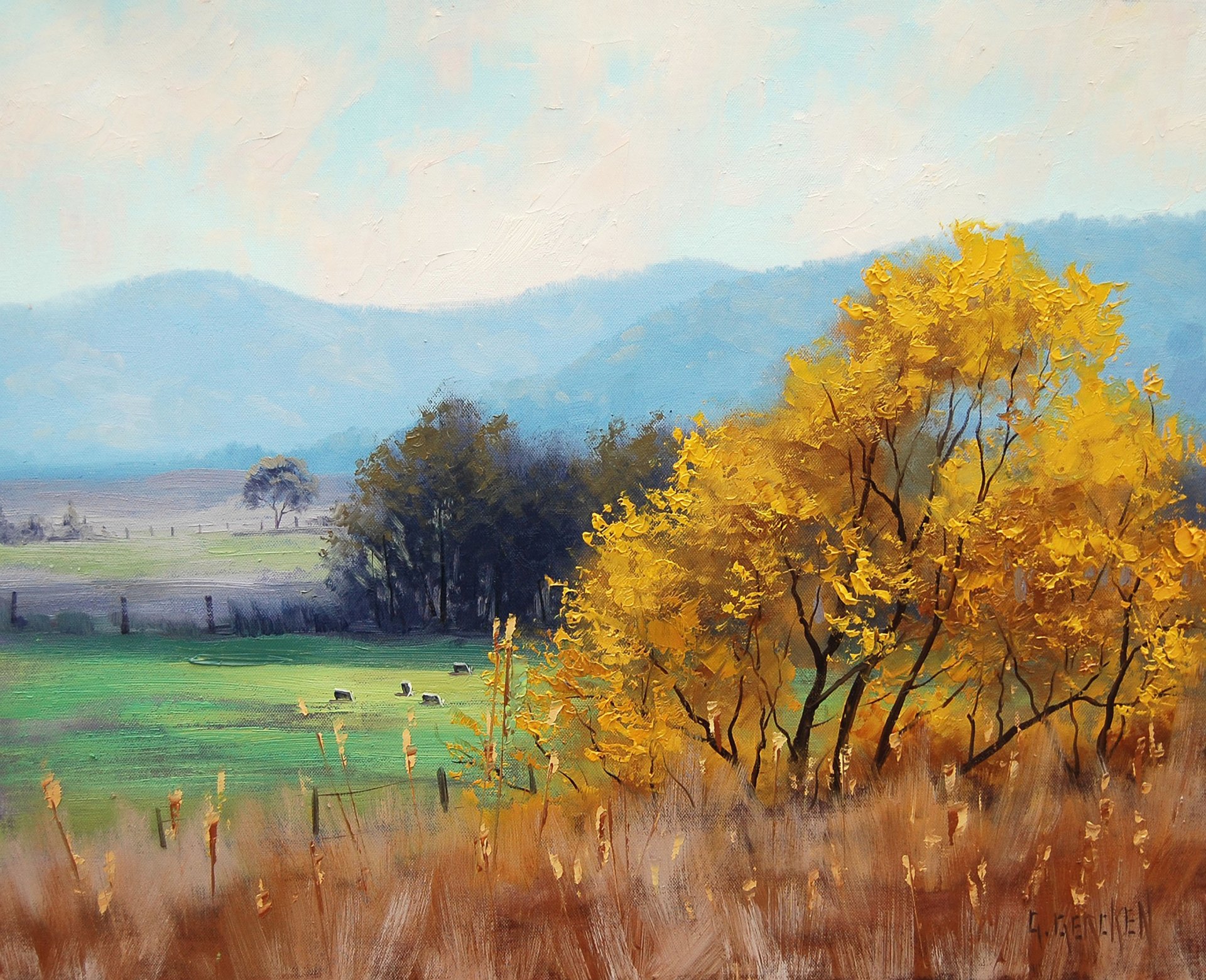 arte disegno artsaus rurale bathurst australia