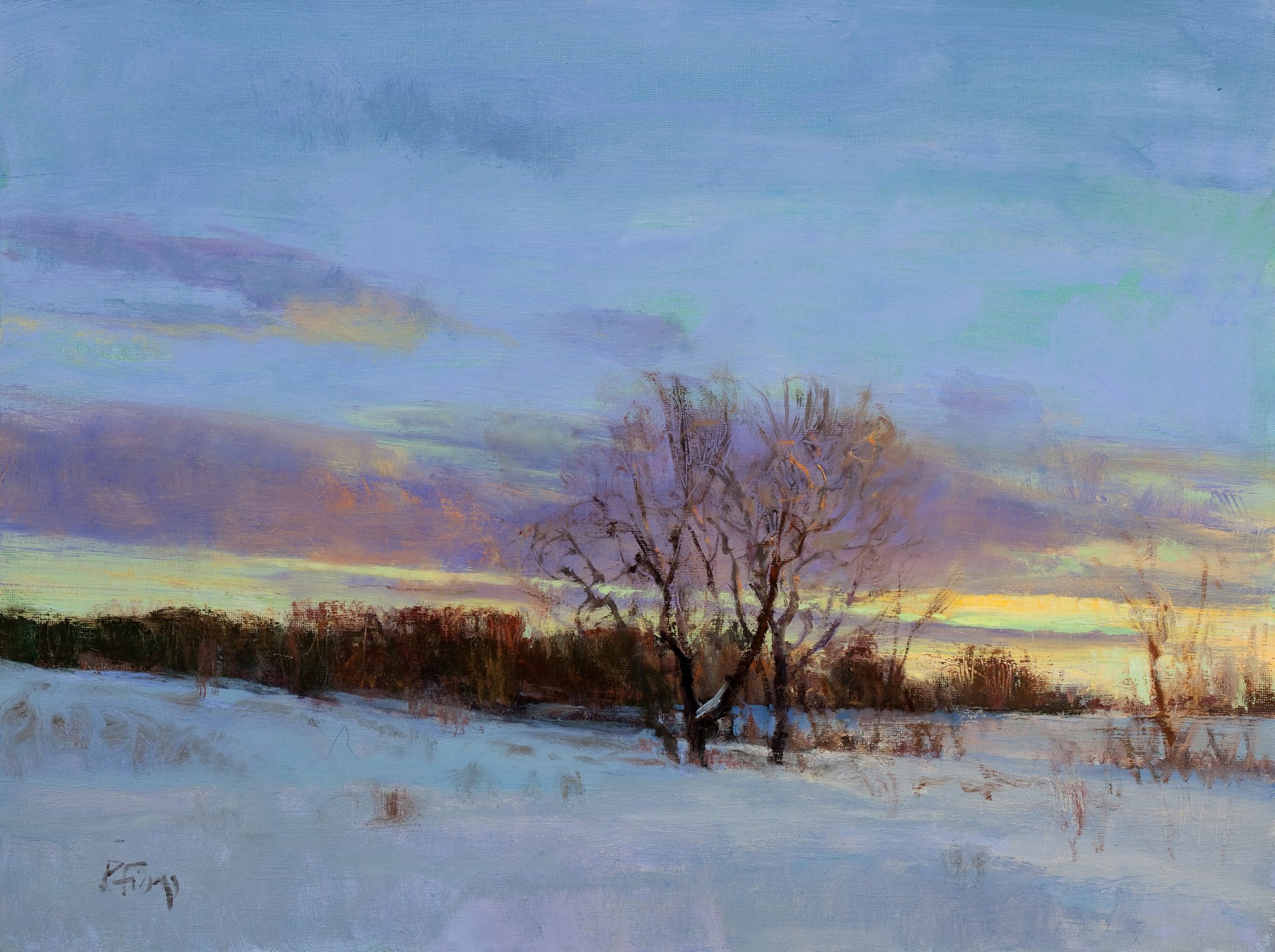 pittura paesaggio arte peter fiore febbraio crepuscolo inverno albero rami neve cielo nuvole luce tramonto crepuscolo