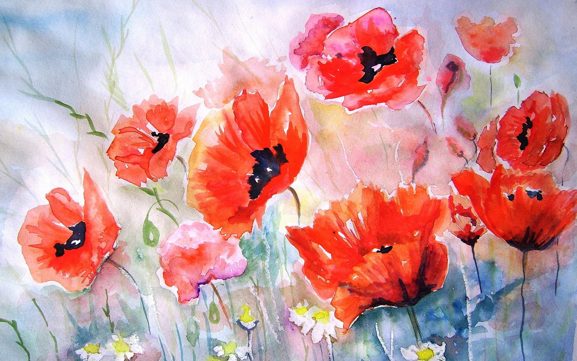 coquelicots peinture aquarelle