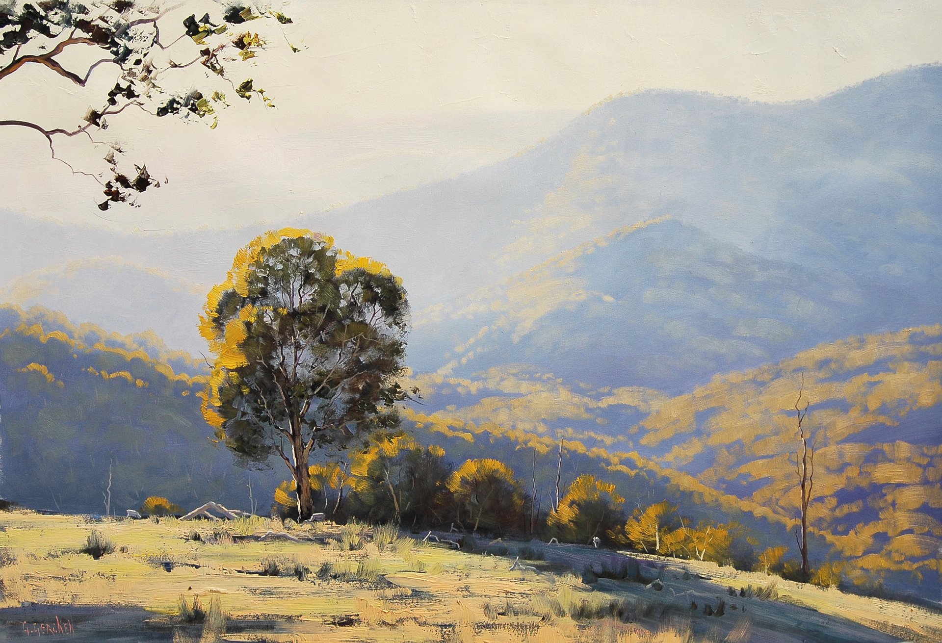 art picture artsaus australian light