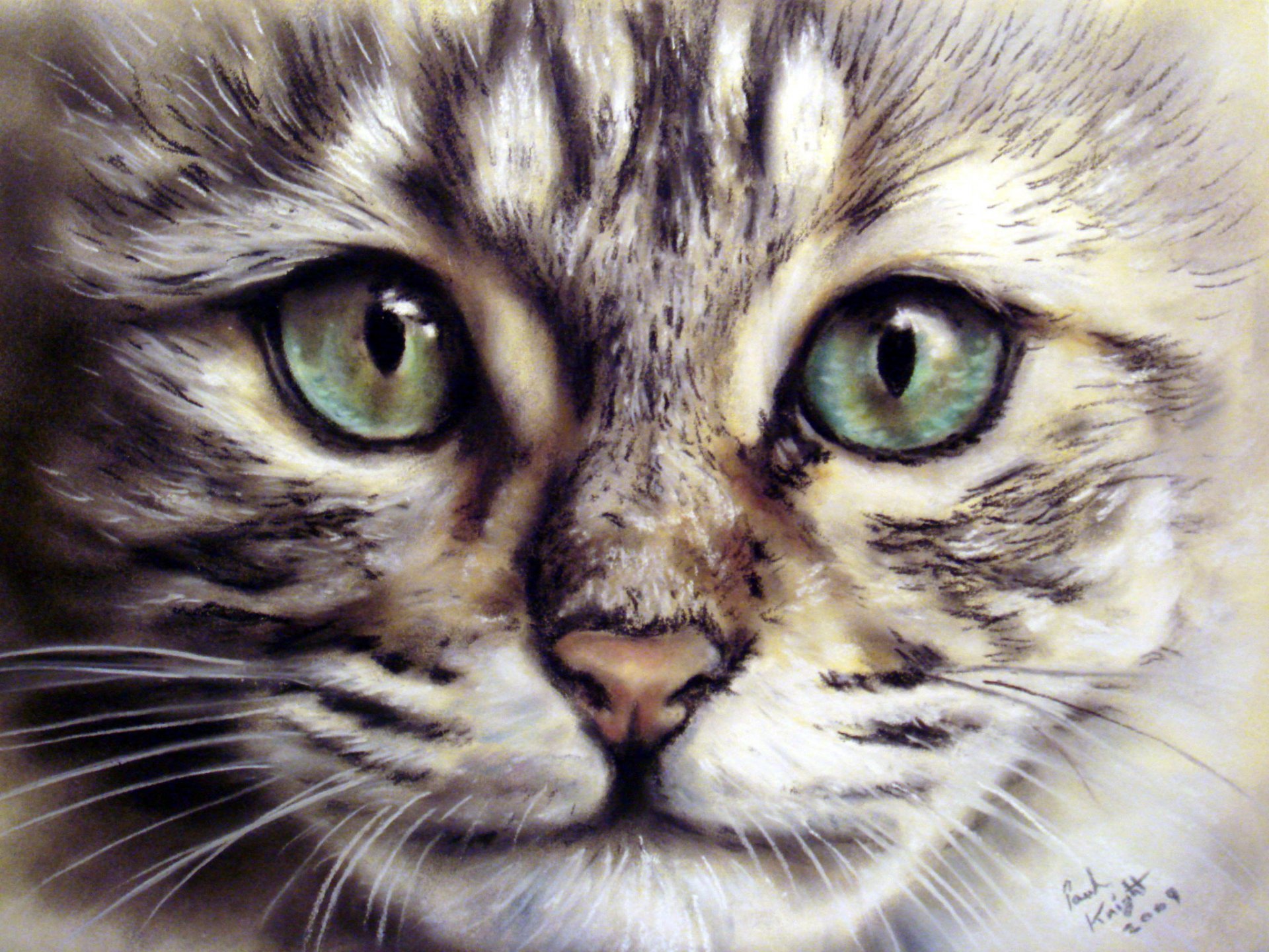 pittura gatto muso sguardo baffi animale