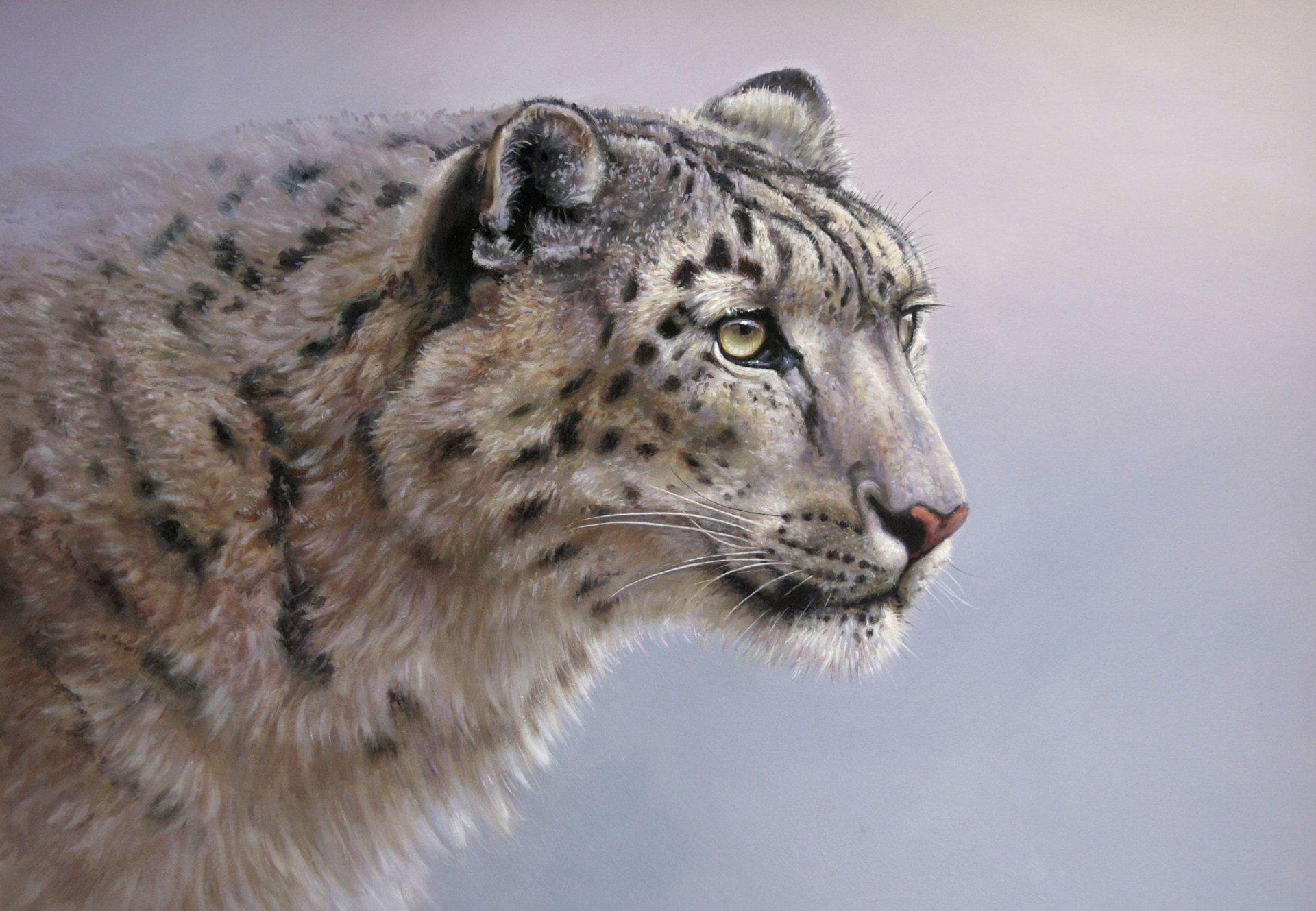 pintura arte colin richens leopardo de las nieves irbis gato salvaje depredador mirada fondo