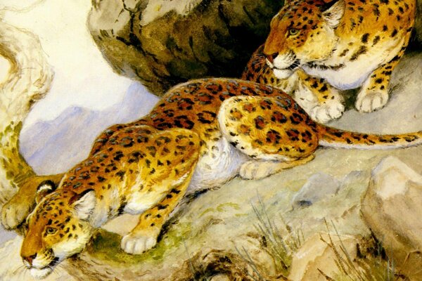 Leopards are preparing to jump, painting