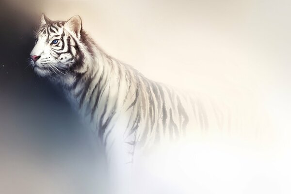 Белый тигр на светлом фоне