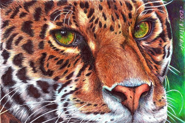 Peinture léopard animal avec des yeux verts