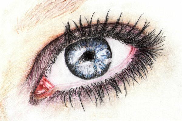 Auge mit Wimpern Bleistift