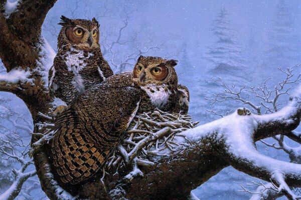 Two owls sit on a tree in winter