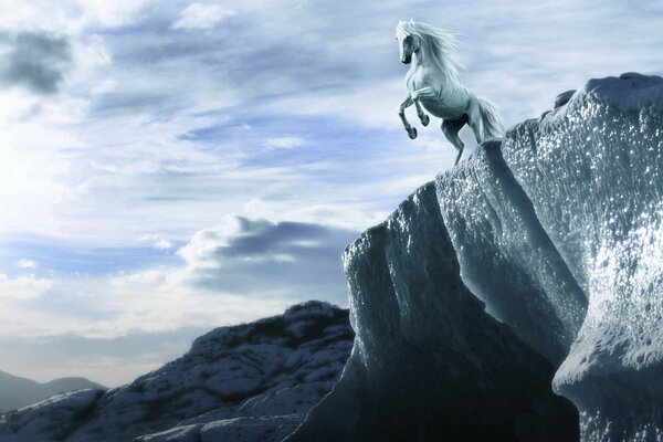 On a rock, a white horse against the sky