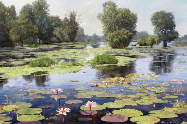 A lake with water lilies and lotus flowers, trees in the distance