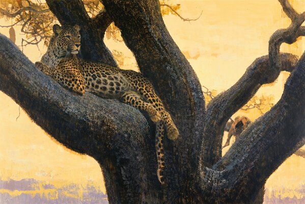 Гордый леопард на стволе дерева