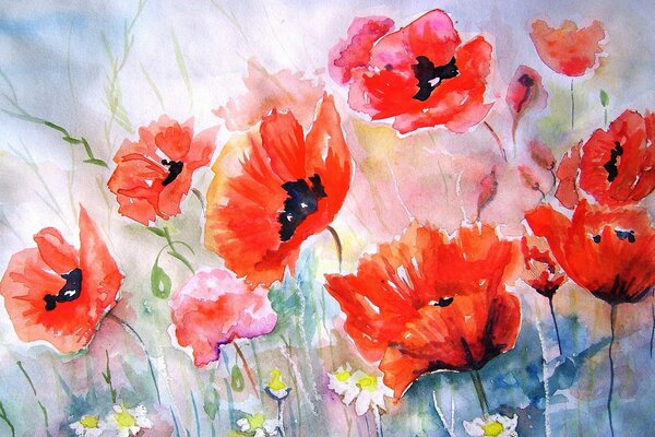 Dessin de coquelicots rouges