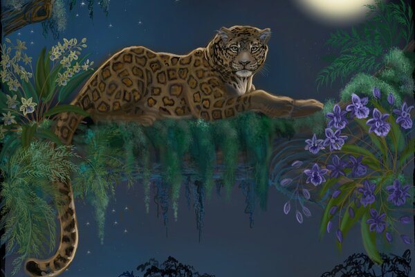 Leopardo en un árbol a la luz de la Luna