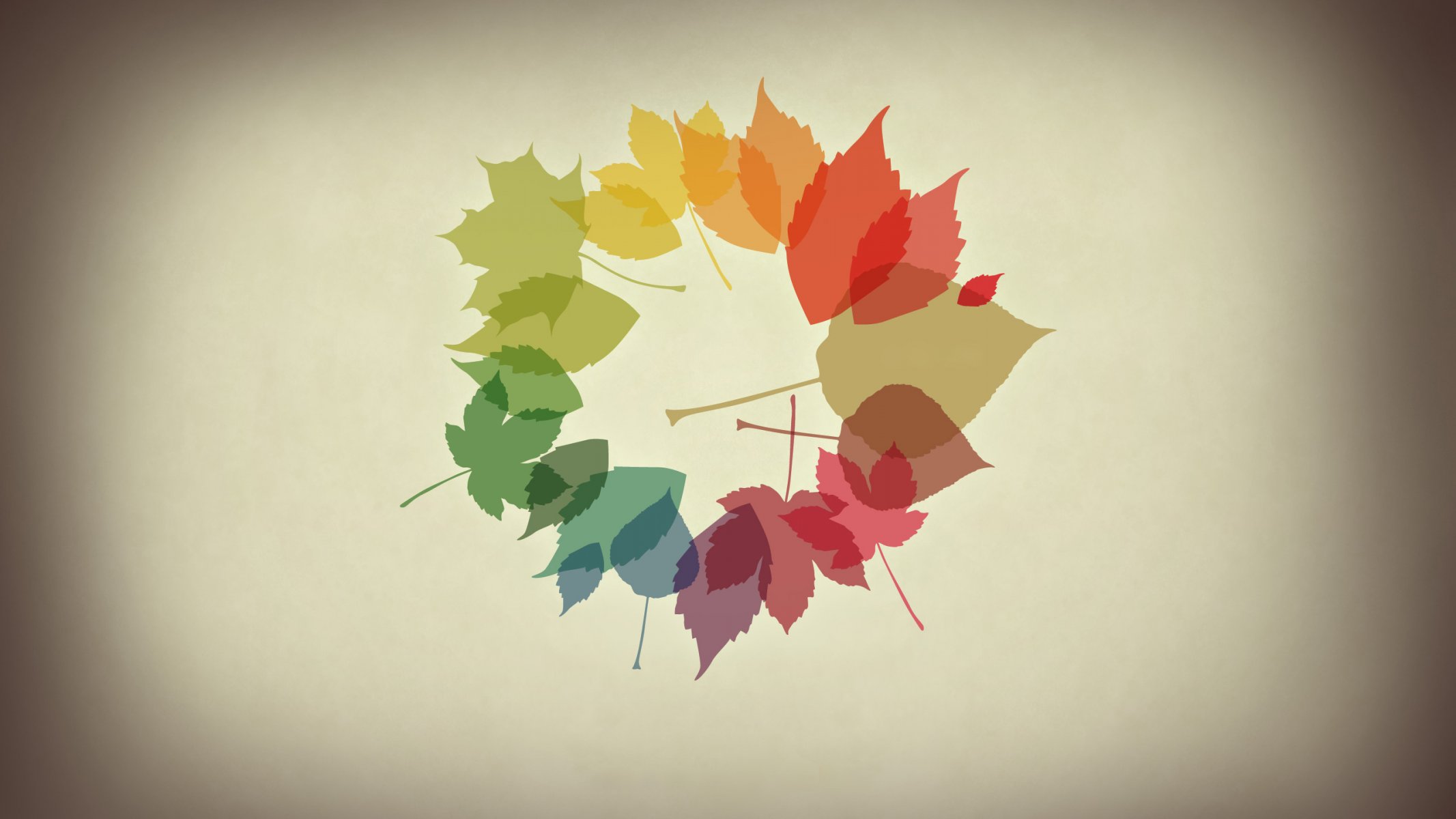 minimalismo foglie autunno