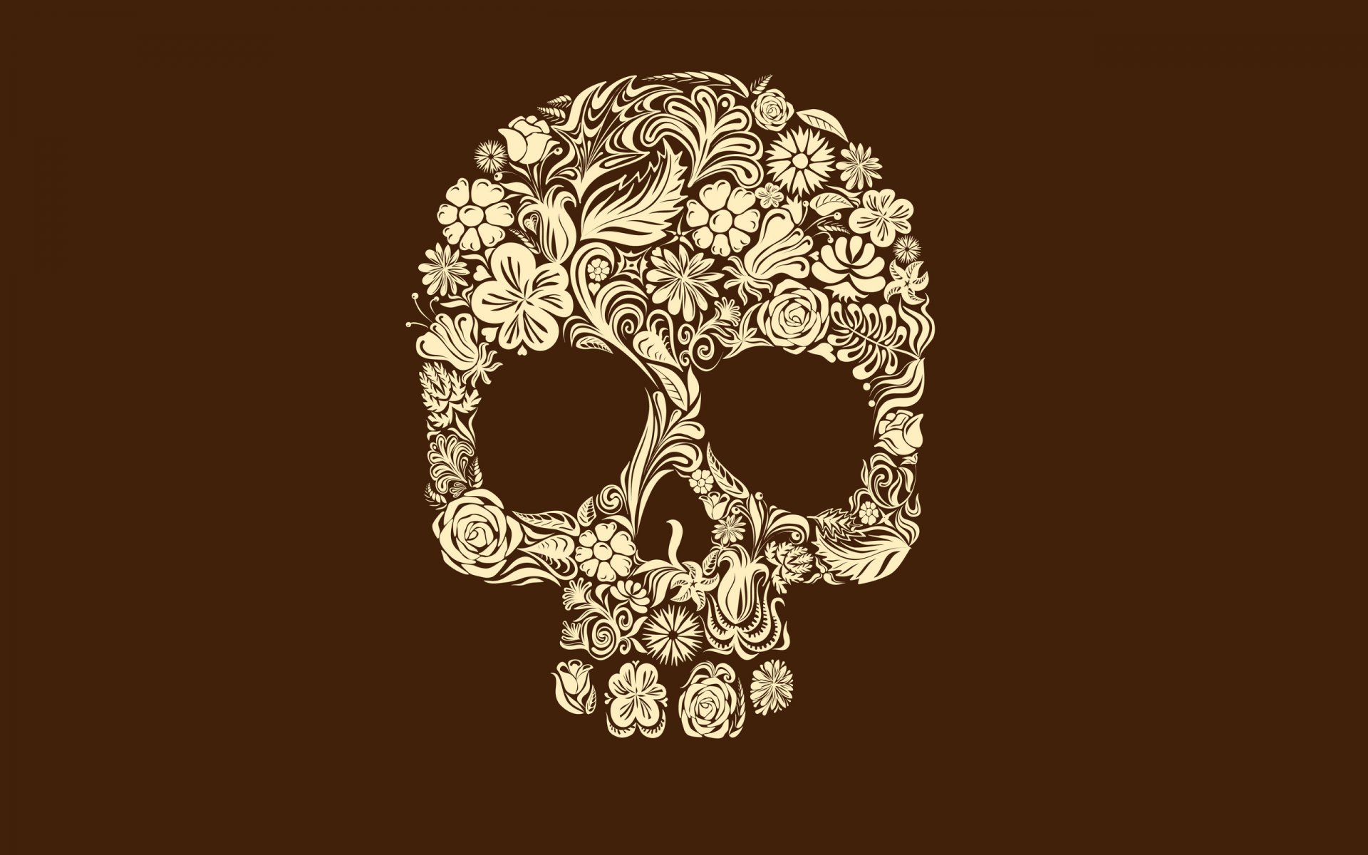 minimalism minimal walls skull patterns 2560x1600