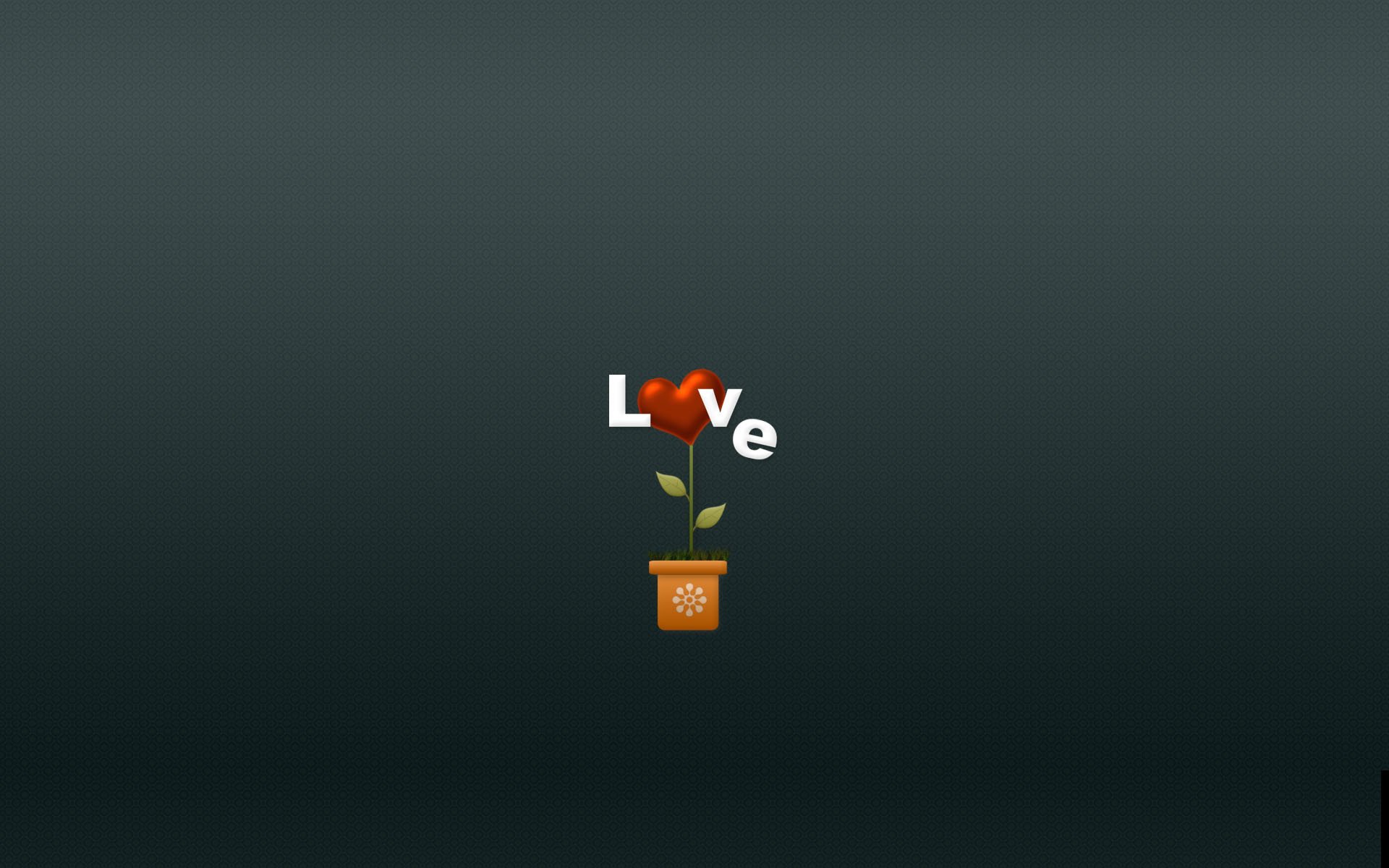 minimalism love heart heart flowers flower plant vase pot