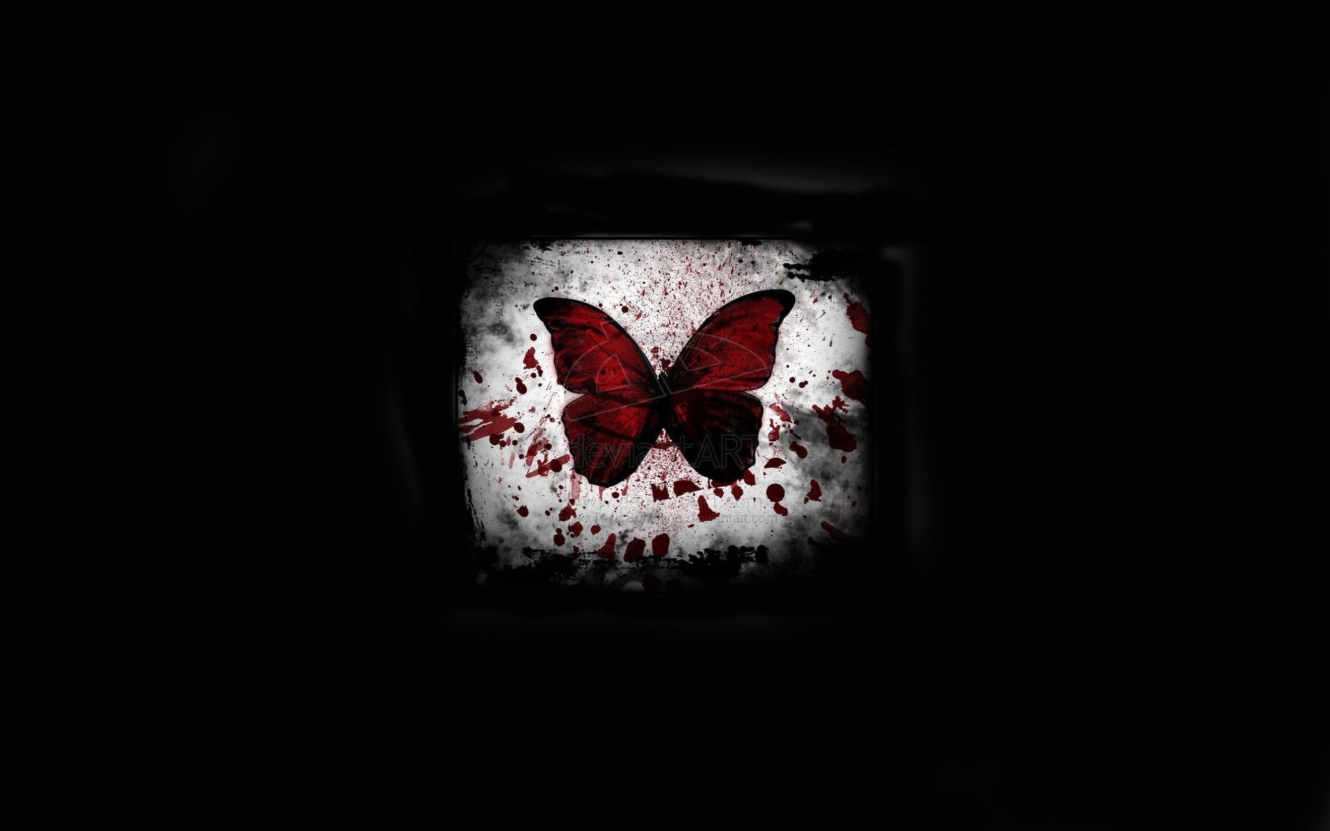 fondo negro mariposa sangre punto luz