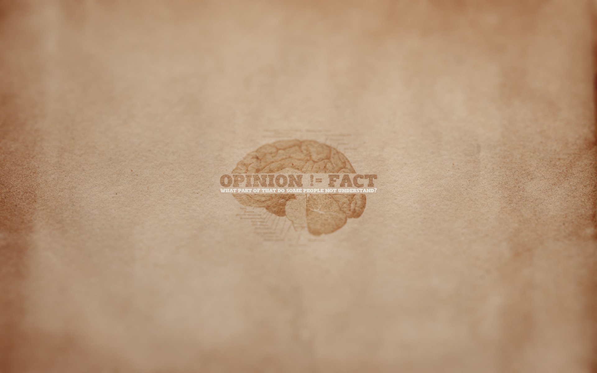 minimalismo cerebro opinión inscripción significado frase