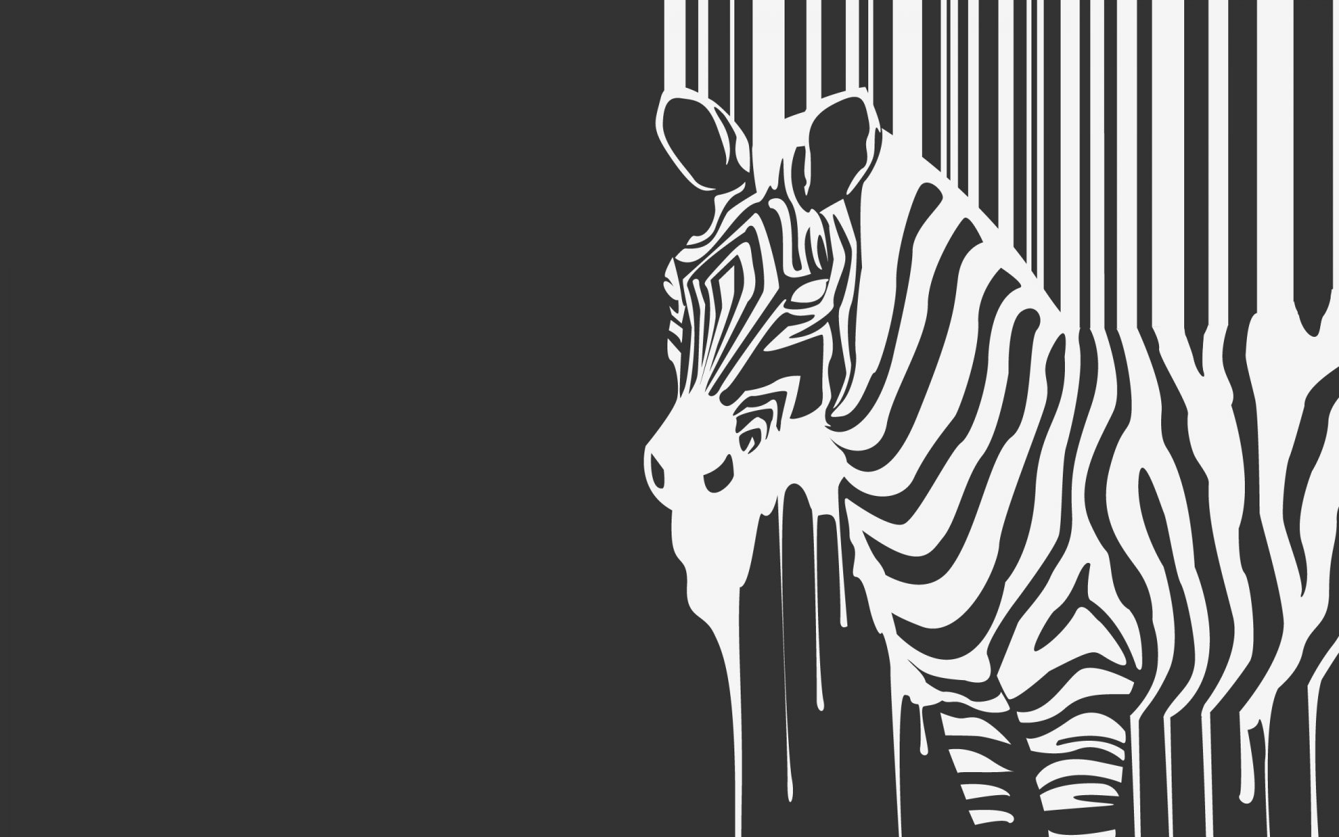 zebra b/w flowing beast stripe