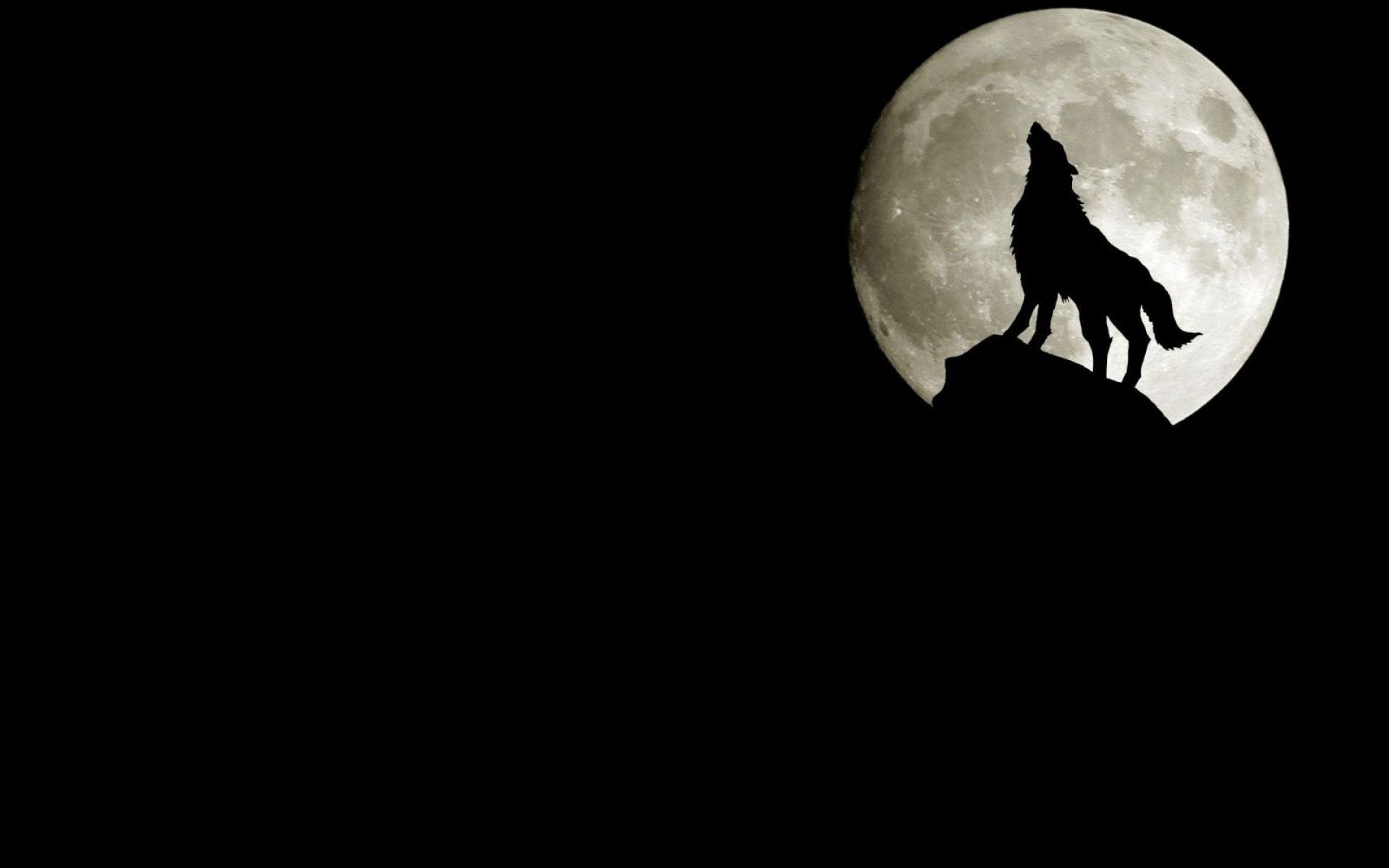 loup lune rocher silhouette hurle