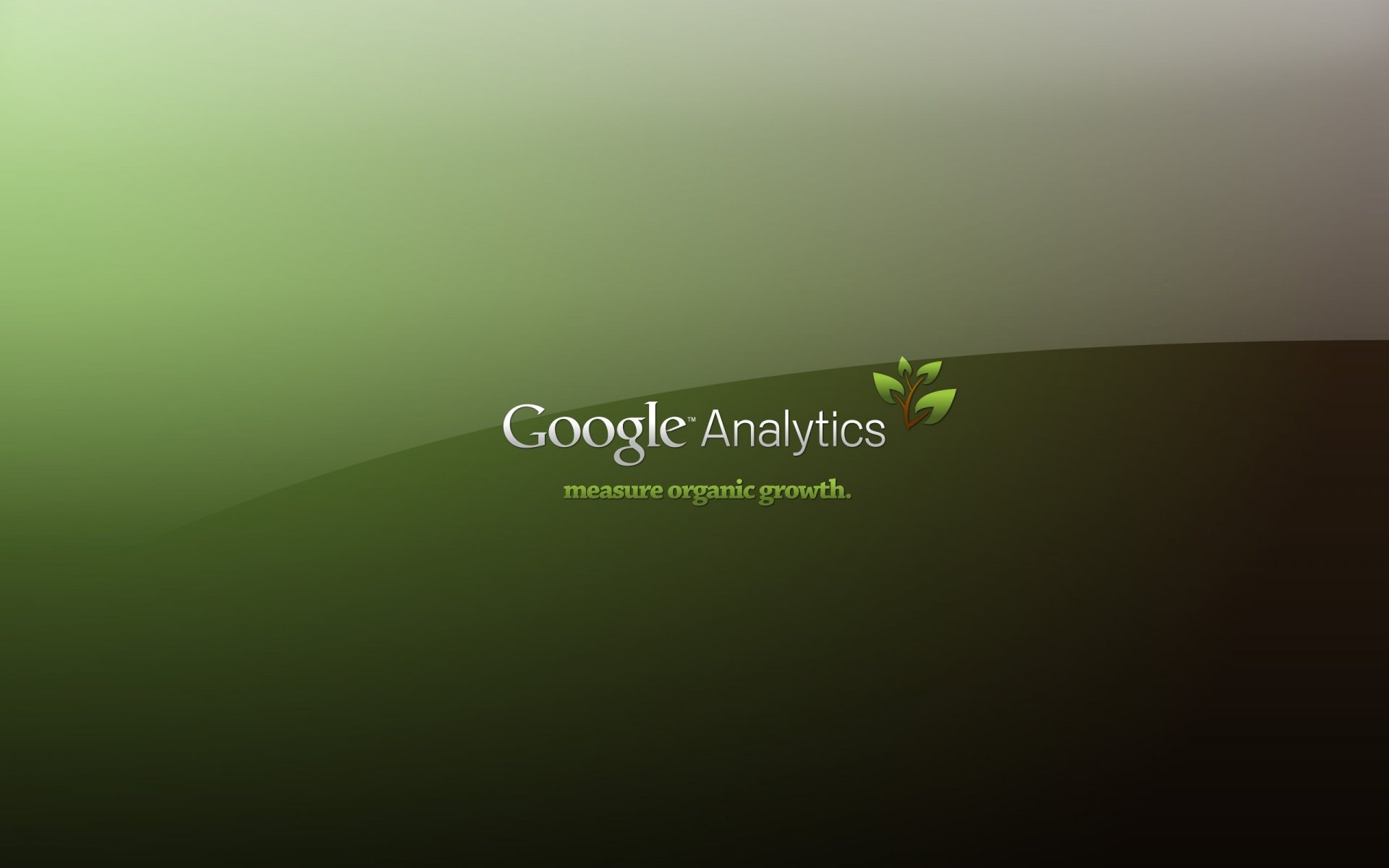 analytics computer google google analytics inschrift grün