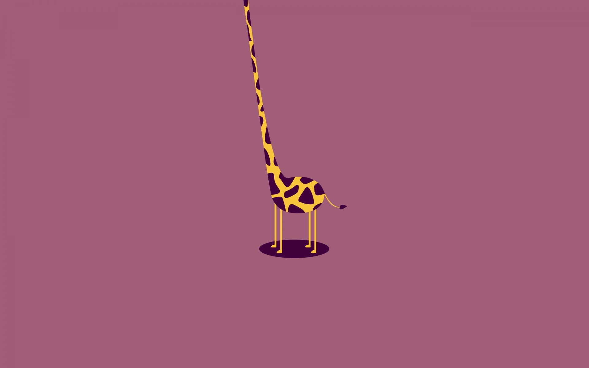 girafe cou sans tête torse