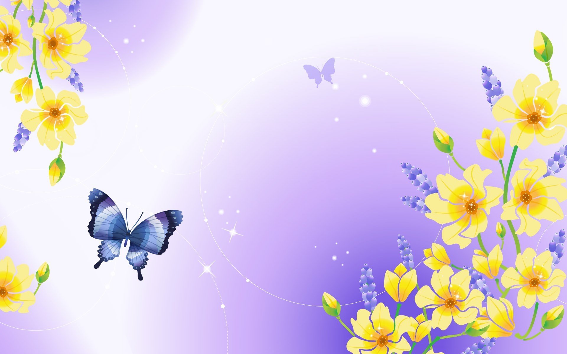 nature butterfly flower plants kidney shine purple background