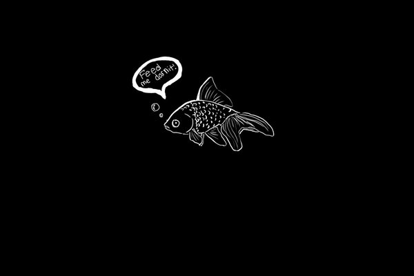 a fish on a black background says :- Feed me, damn it 