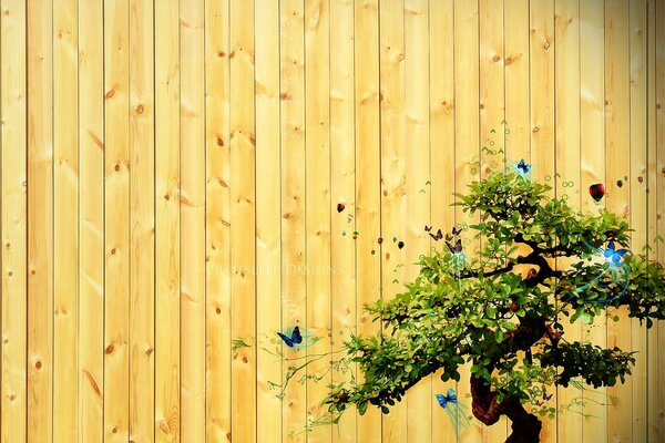 Image of a branching tree with butterflies on the fence