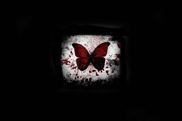 Red butterfly on a black background